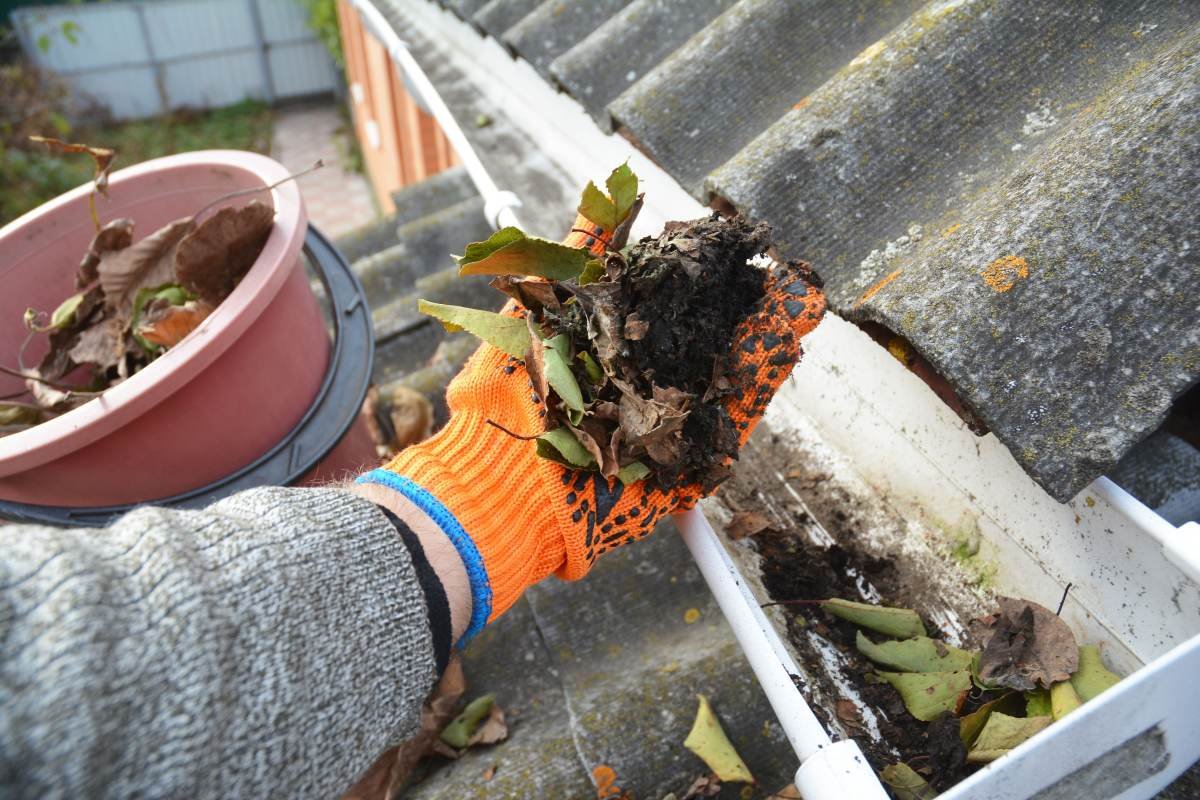 Hand Removal of leaves for gutter cleaning in Hampton