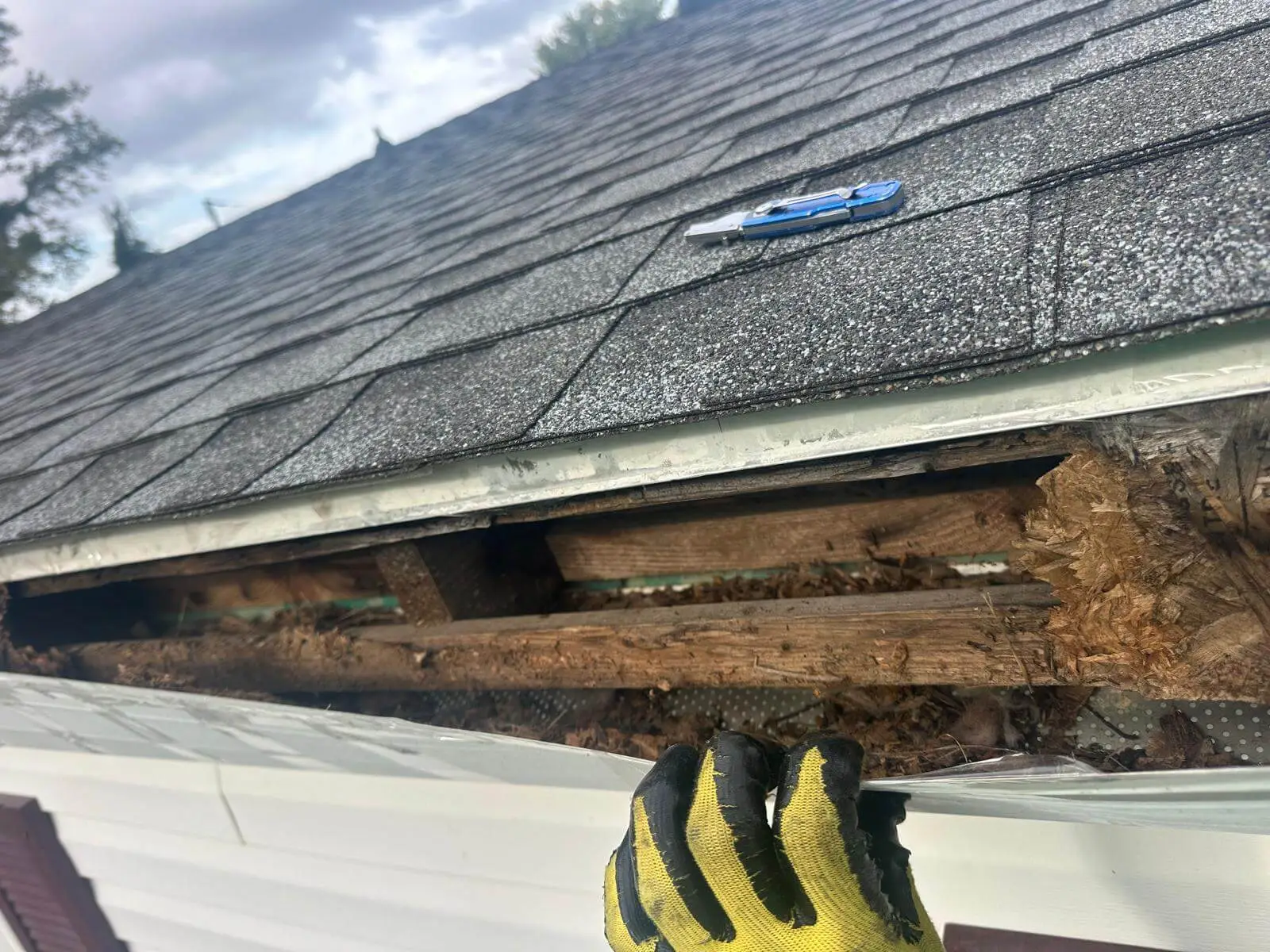 Norfolk Home With Hidden Fascia Rot