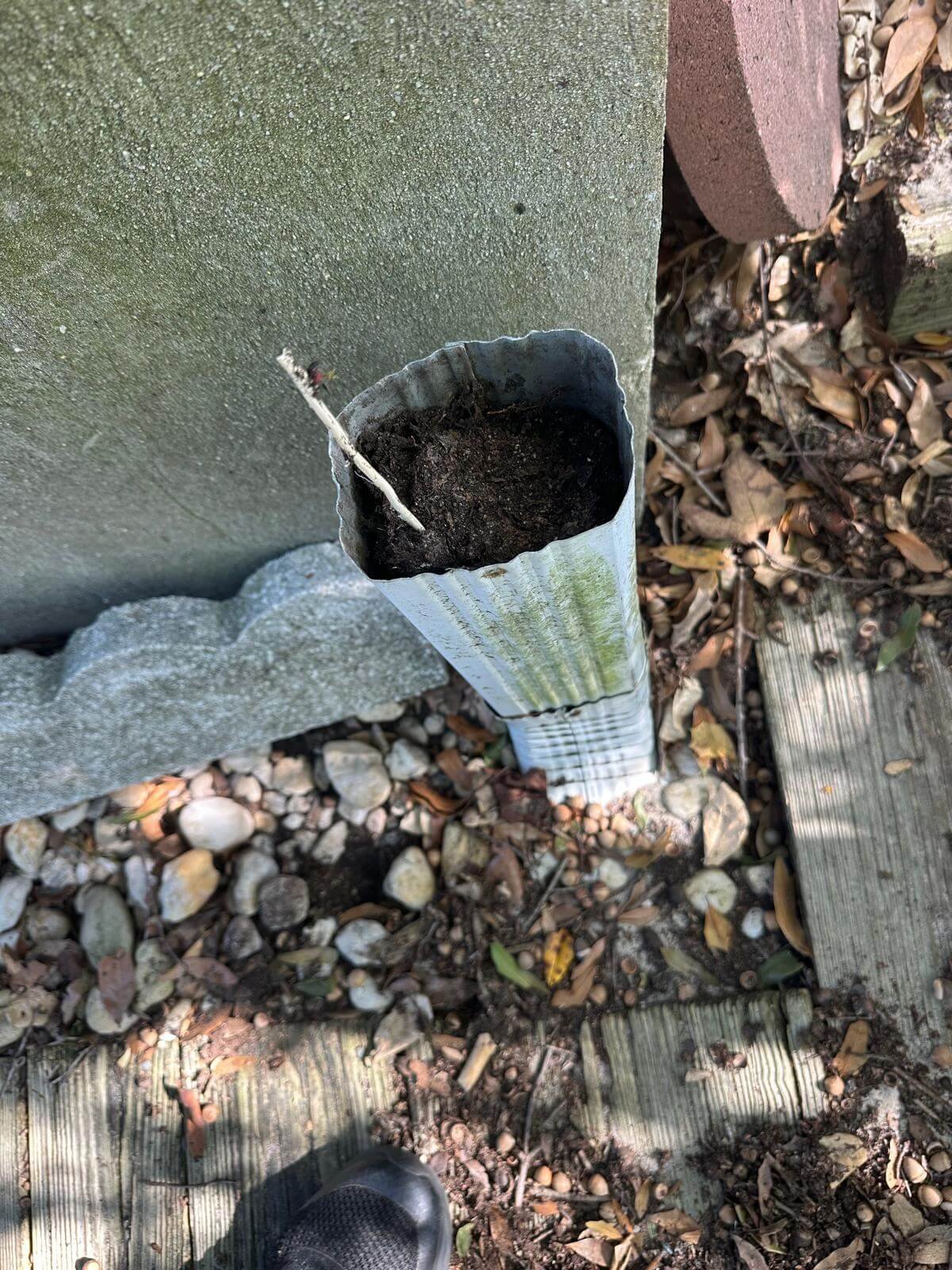 Clogged downspouts in Norfolk caused by debris buildup in sectional gutters leading to overflow during storms.