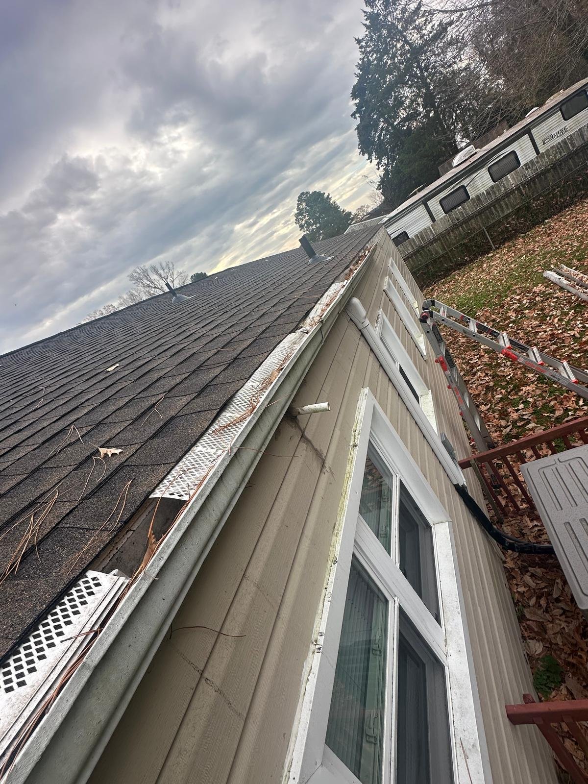 Loblolly pine needles on gutter guard Hampton Roads Virginia