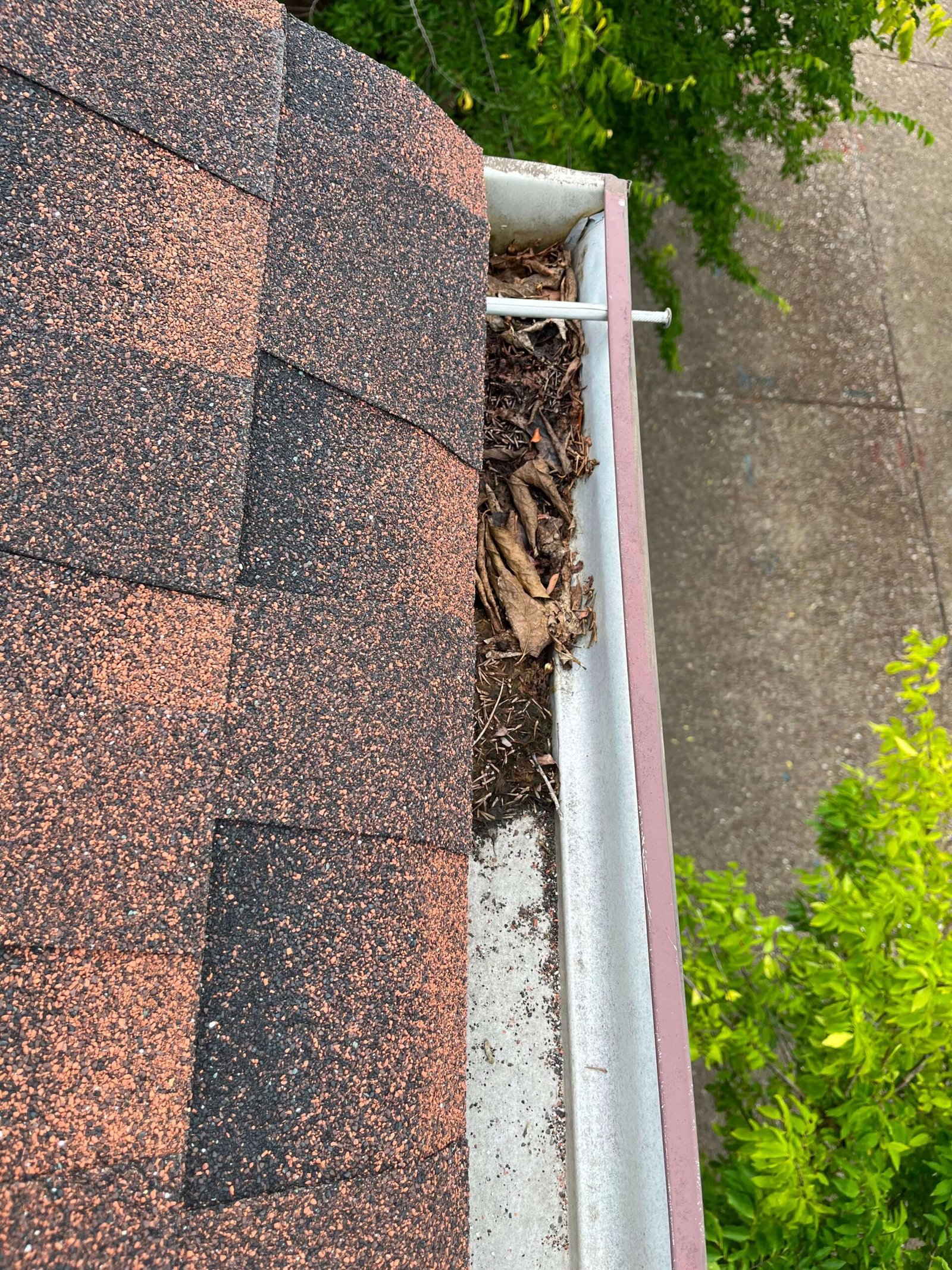 Second-story gutter clogged with leaves and pine needles before cleaning in Virginia Beach