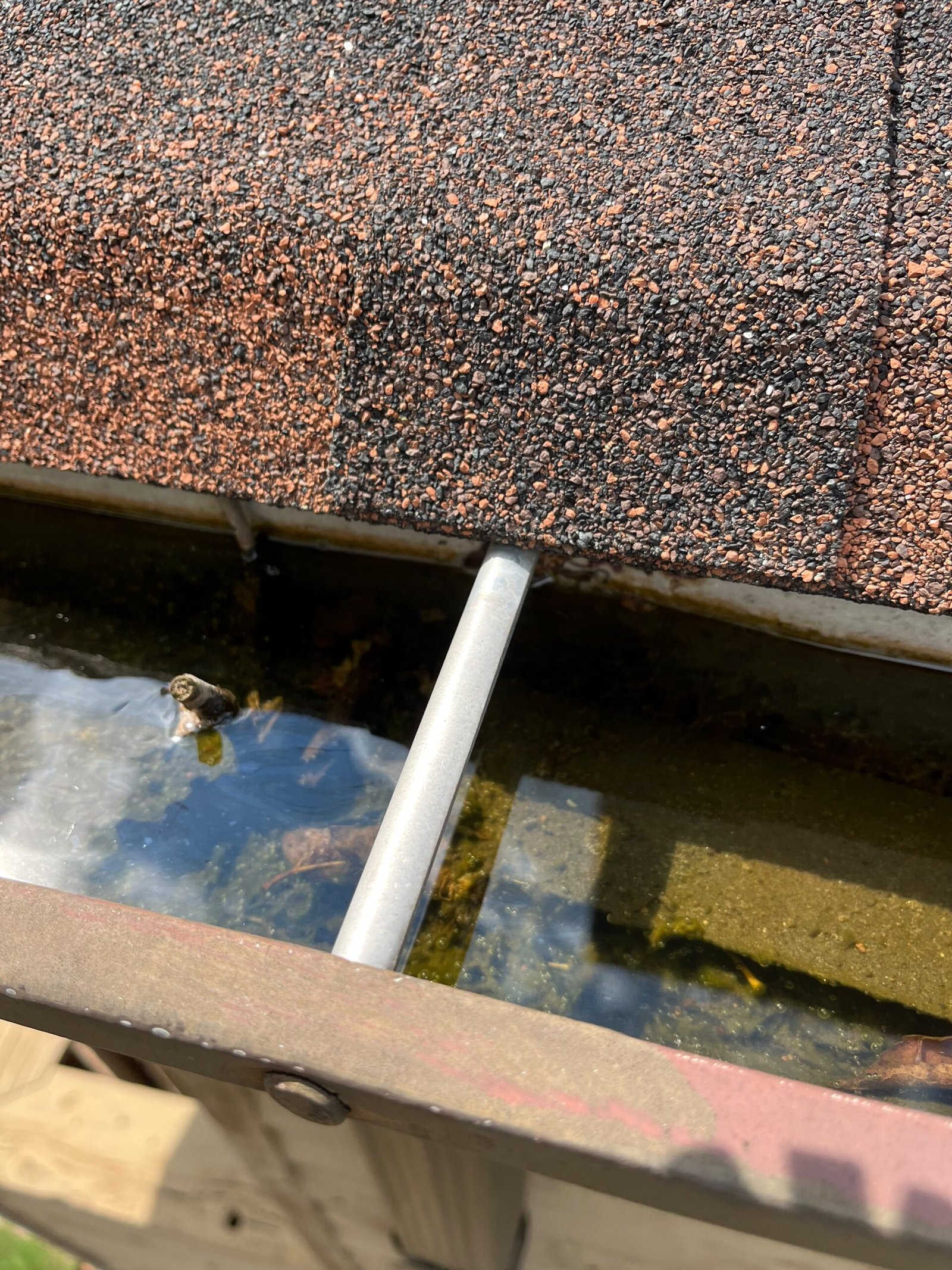 Debris and standing water in a Virginia Beach gutter before professional cleaning